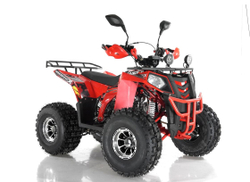 Квадроцикл WELS Thunder EVO X