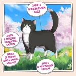 Корм для стерилизованных кошек ZILLII (Зилли) Cat Sterilized Light 10кг индейка и утка сухой для кошек с избыточным весом