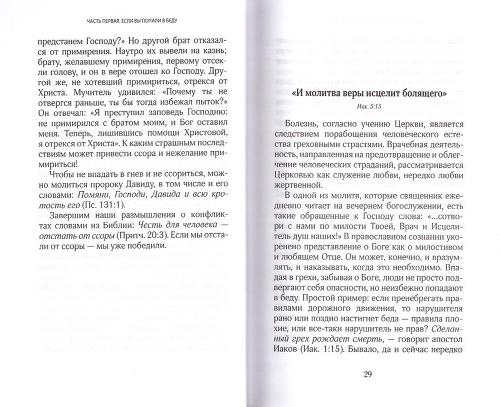 Если вы попали в беду. Николай (Погребняк), епископ Балашихинский
