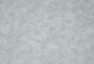 Микровелюр Клауд 04