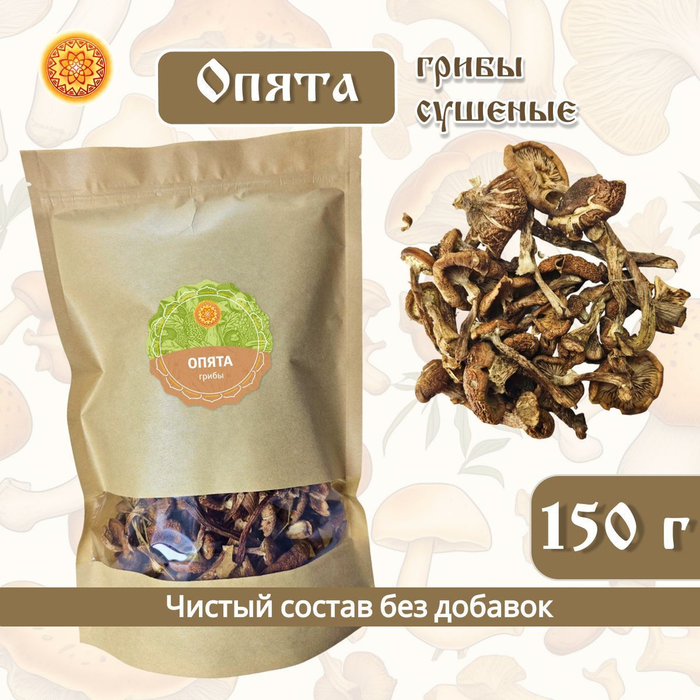 Грибы сушеные опята.
