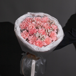 Букет цветов из 15 Диантусов с гипсофилой