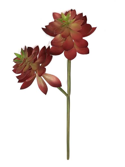 Суккулент ветка красный 60 см