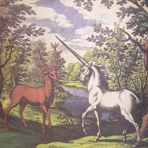 Аквариум / Любимые Песни Рамзеса IV (LP)