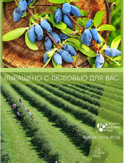 Варенье из жимолости, 280 г