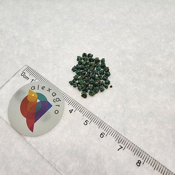 Цеппо F1 семена свеклы – фото 15