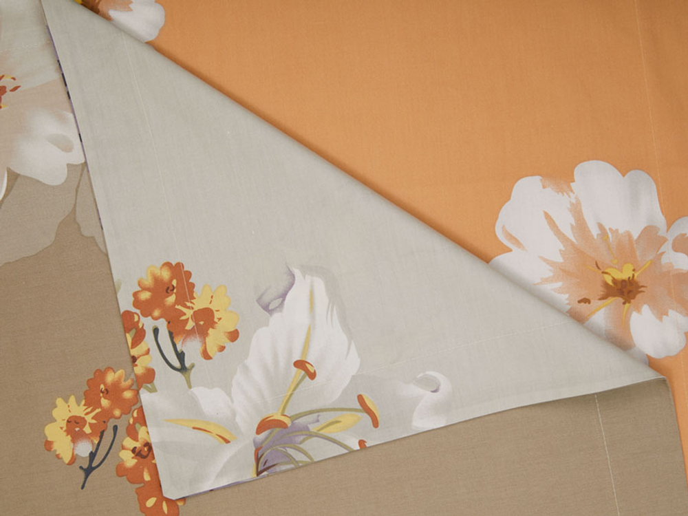 Постельное белье СайлиД B-145 сатин