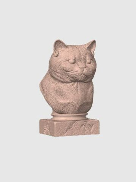 Британская Короткошерстная Кошка
