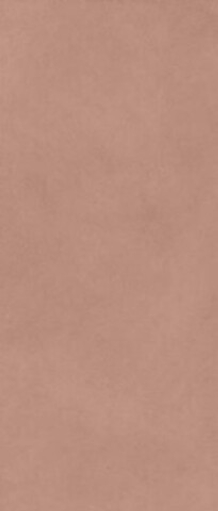 Керамогранит ALTER EGO COTTO NAT R (PF60017001)