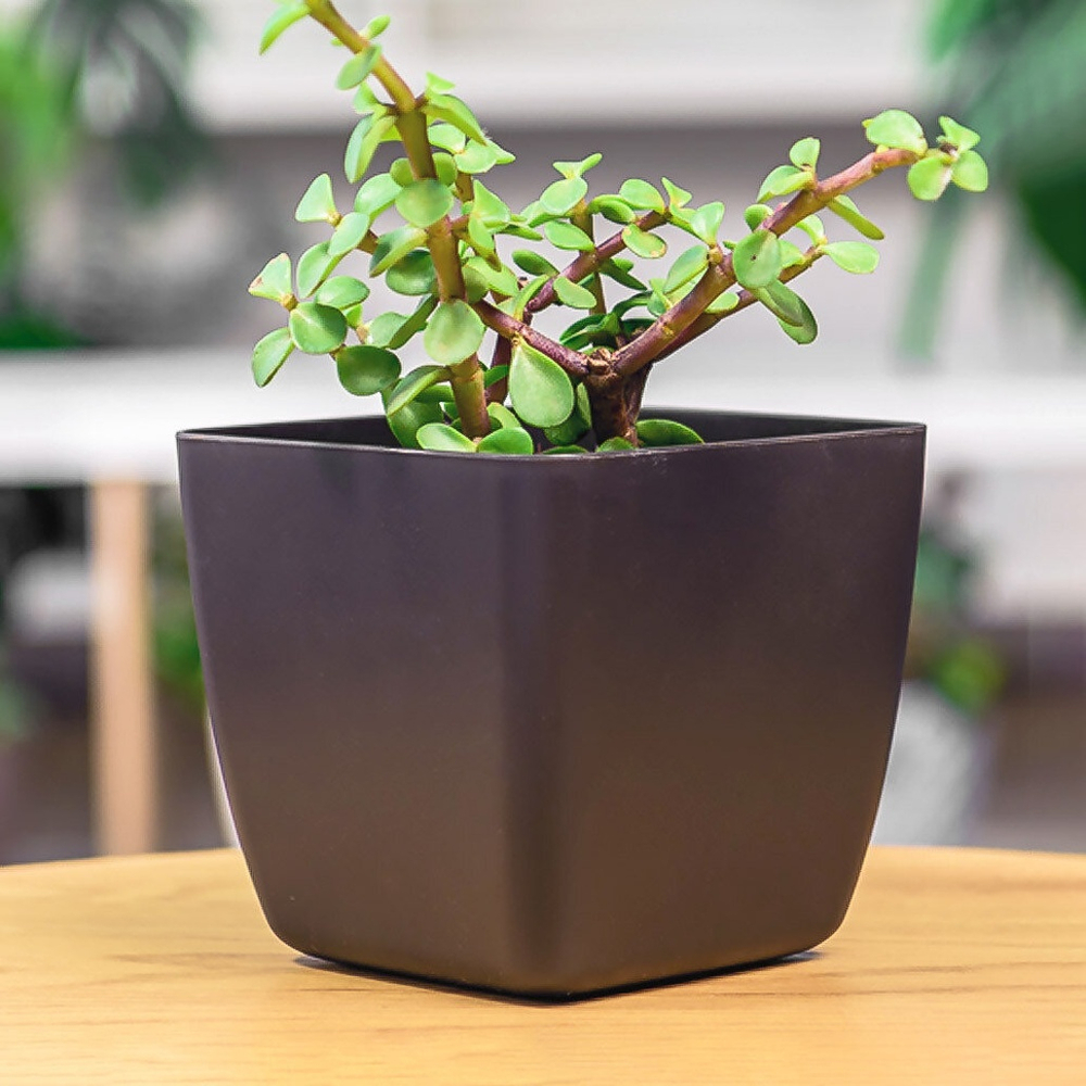 Горшок цветочный Vienna 1,5л с дренажной вставкой, горький шоколад