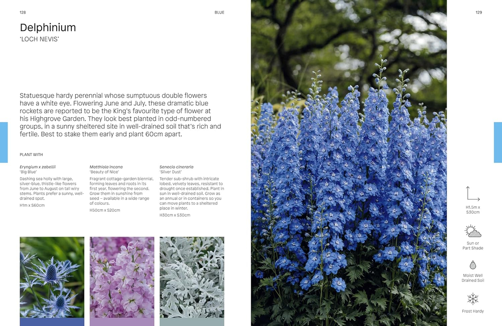 The Flower Thesaurus: Colourful Pairings and Plant Ideas for the Creative Gardener