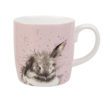 Royal Worcester Кружка Wrendale Designs 400 мл Bathtime MMPY4020-XD