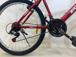Велосипед Bike Dragon 26" 21скор (ст.рама,SunRun, Жесткая вилка, тормоз V-brake) BD-1-26-3 красный