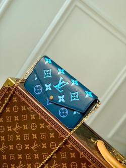 Louis Vuitton Félicie Pochette