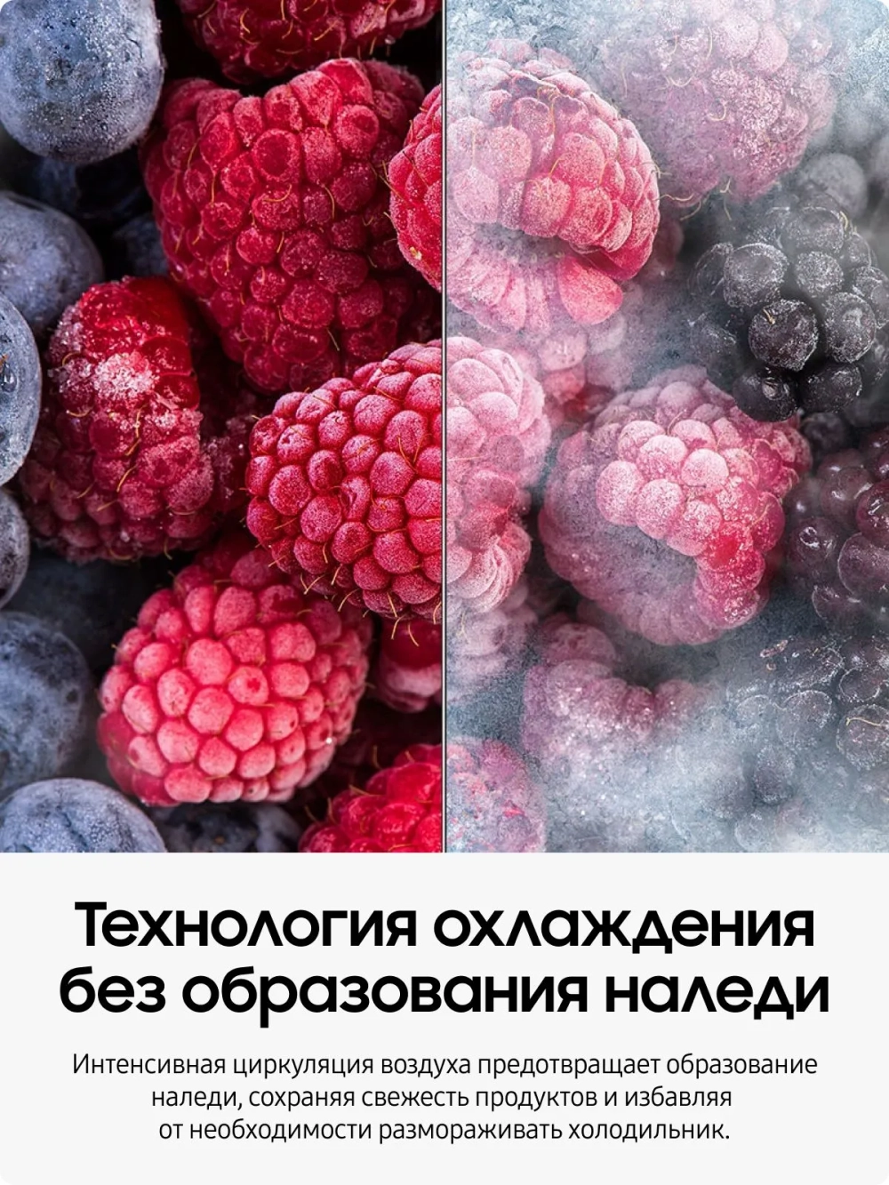 Холодильник двухкамерный Samsung RB50DG602EB1WR