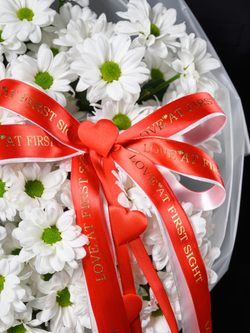 Моя Любовь 11