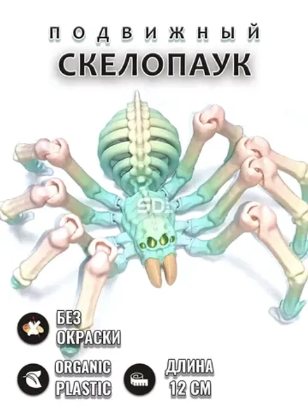 Скелет Паук