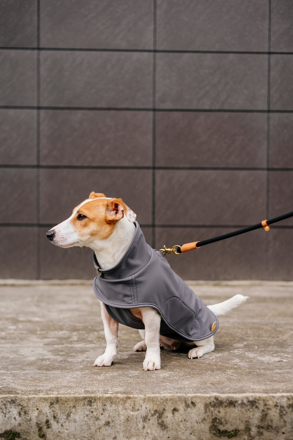 Попона "Пони-попони" темно-серая