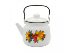 Чайник эм 1,0л с дек С-27074П2РмхРч (8)