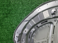 Капот Geely Coolray (2019-2024)