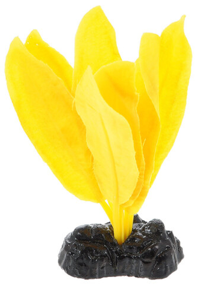 Шёлковое растение Эхинодорус желтый 10см