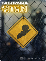 Табличка "Осторожно, приведение" Каспер, шуточная прикольная табличка на дверь и стену, для офиса и дома, декоративный знак, 24,5х24,5 см, пластиковая, Айдентика Технолоджи