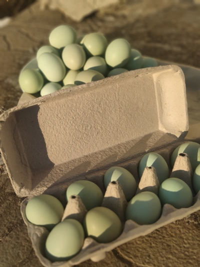 Яйцо куриное Ухейилюй зелёное