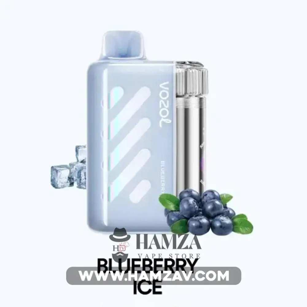 VOZOL VISTA 40000 - Blueberry Ice (5% nic)