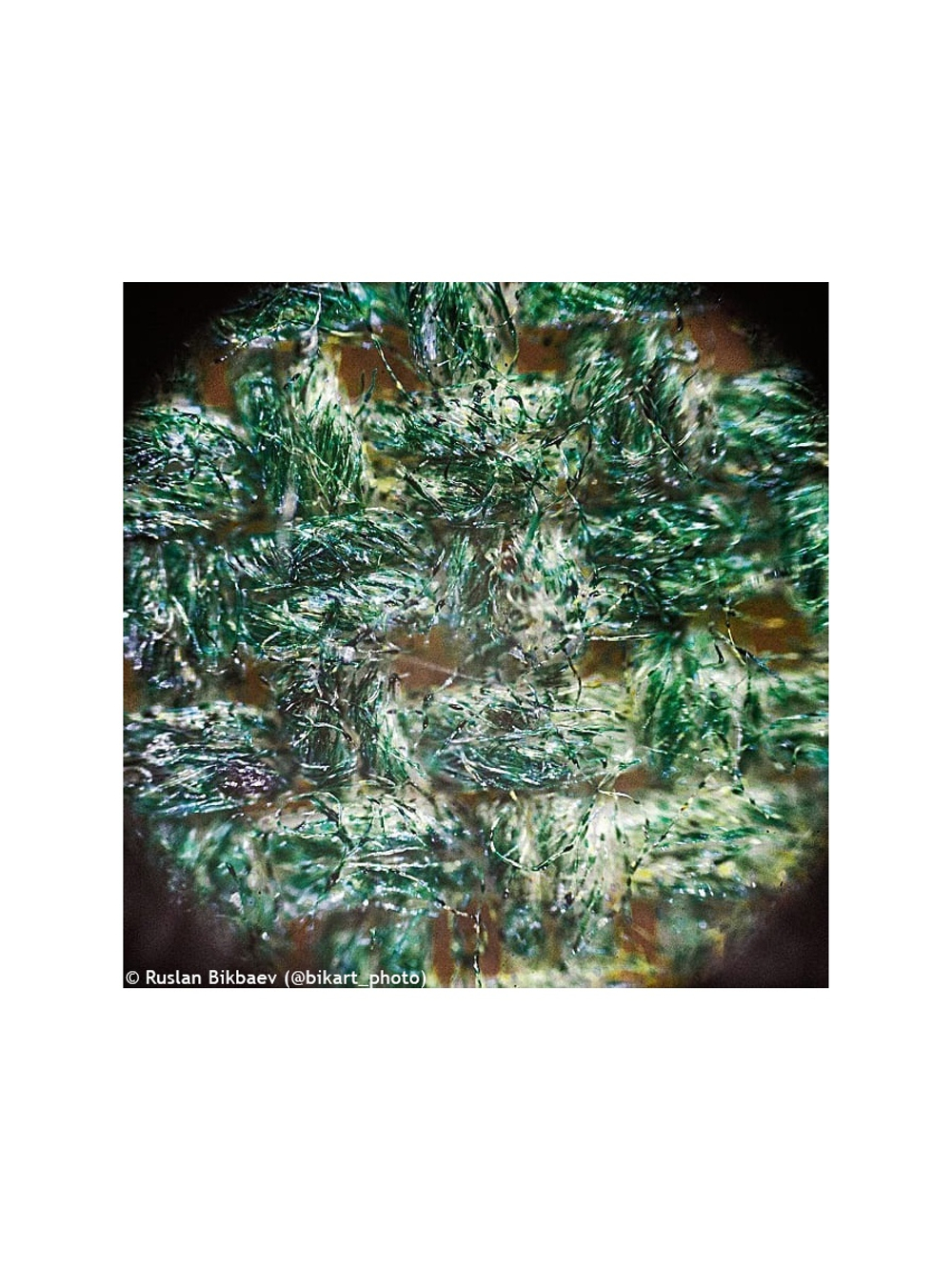 Микроскоп Levenhuk Rainbow 50L PLUS Лазурь