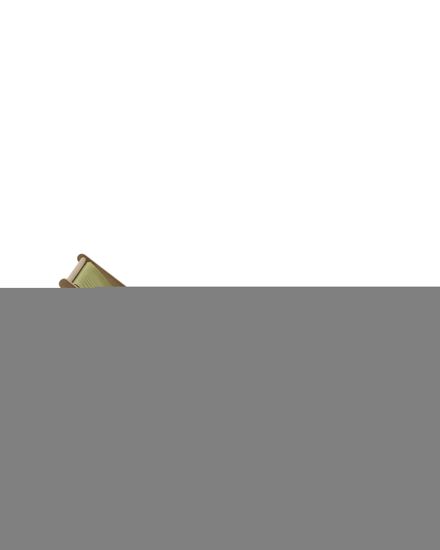 Складное кресло Vilara из акации для улицы салатового цвета