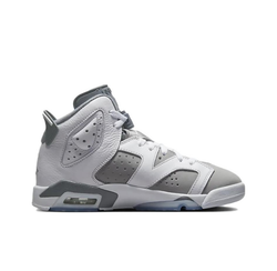 Женские кроссовки Air Jordan 6 retro "cool grey" 384665-100