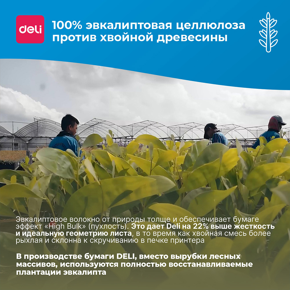 Бумага офисная DELI "MateCopy ", А4, 80 г/м2, 500 л