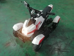 Электроквадроцикл Green Camel Гоби K22 (36V 500W R4 Цепь)