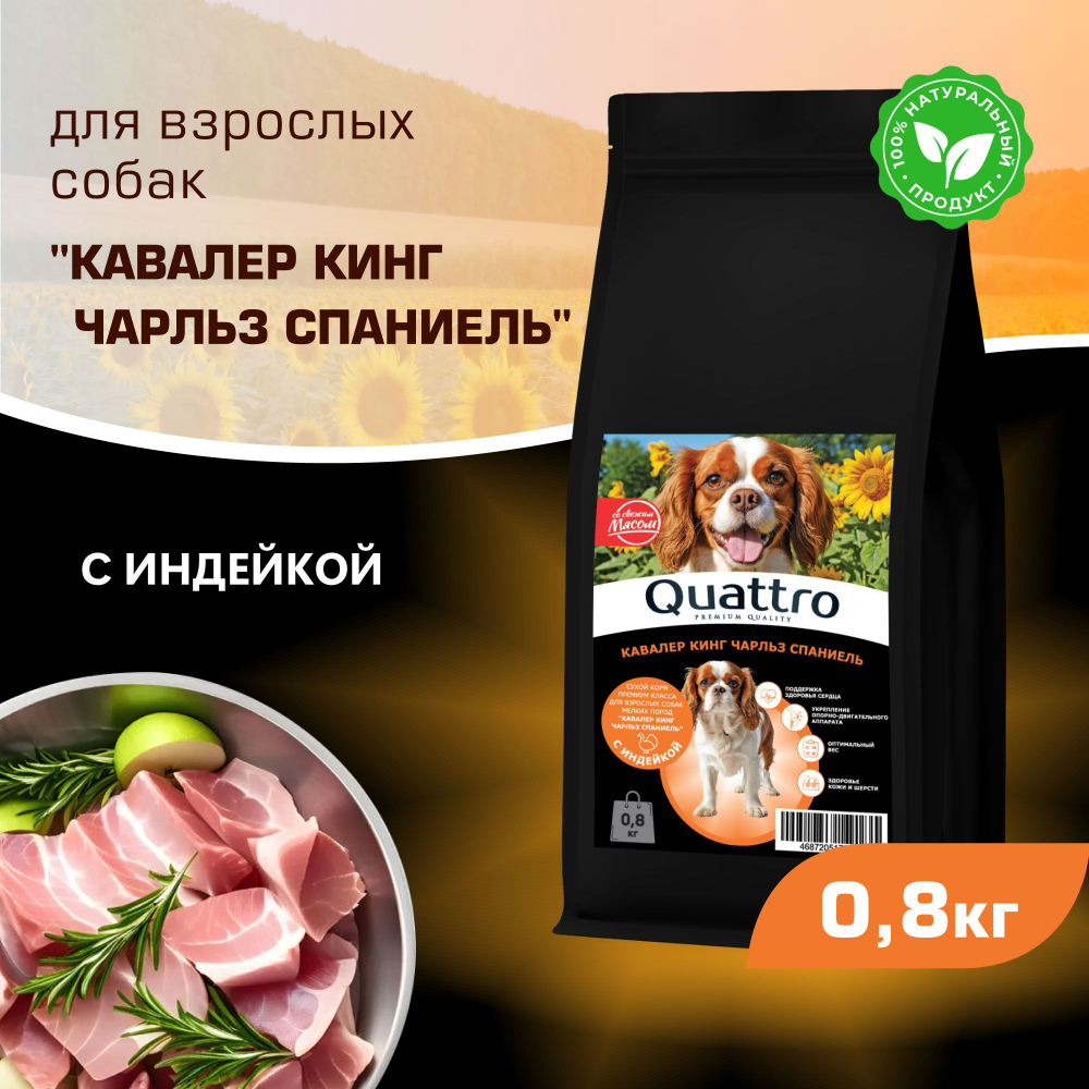 Корм сухой для взрослых собак породы Кавалер кинг Чарльз спаниель, с индейкой, 800 гр, QUATTRO