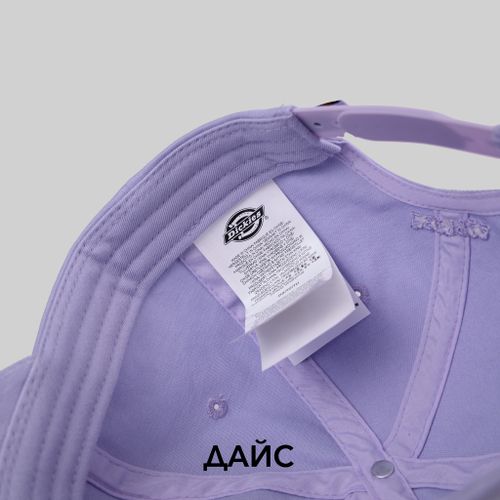 Кепка Dickies Hardwick 6 Panel Logo артикул:DK0A4TKVH181 - купить в магазине Дайс