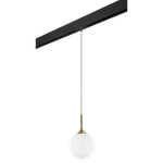 Трековый светильник Lightstar Globo PRO813022