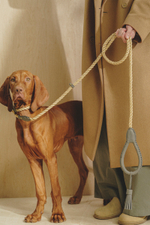 Ошейник "Кантри-Пони" Графит