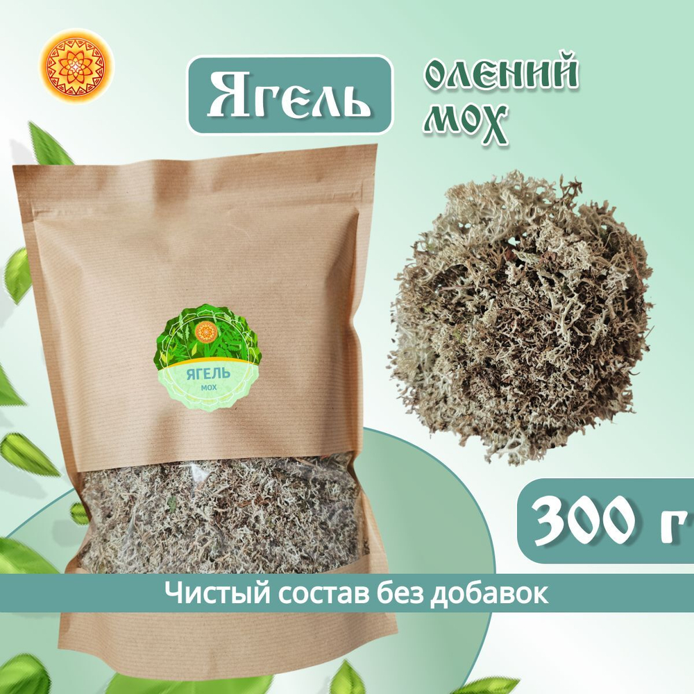 Исландский мох цетрария, 100 г.