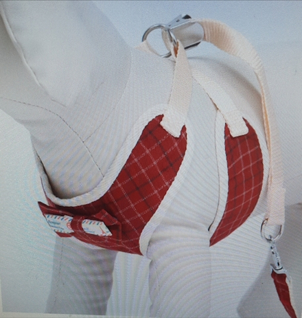 Комплект амуниции с мягкой шлейкой, L