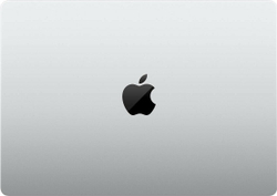 Ноутбук 14" Apple MacBook Pro 2021 M1 (MKGT3RU/A)