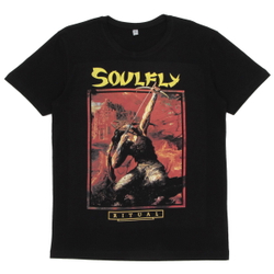Футболка SoulFly