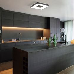 7917 Потолочный светильник COIN