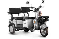 Электротрицикл Gelbert Beta (800Вт, 48/60B)