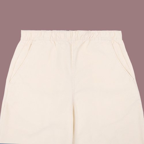 Брюки мужские Dickies Chase City Pant артикул:DK0A4YSAF901 - купить в магазине Дайс