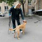 Рубашка Смерч #5 изумрудная