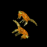 Рыболовные, силиконовые приманки. Рачки мормыш RuBaits Shrimp креветка. Набор для рыбалки на щуку, судака, окуня, форель. Зимняя рыбалка, микроджиг.