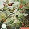 Pazl / Пазлы /Puzzles Adult Sustainable Jigsaw Puzzle V&amp;A: Hummingbirds