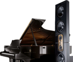 Напольная акустика Steinway Lyngdorf Model D