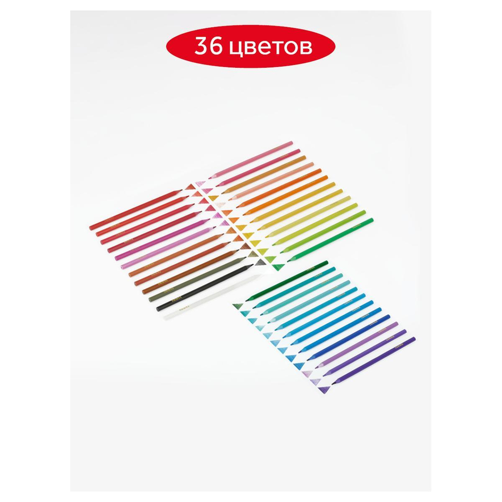 Карандаши 36цв. "Мультики" пласт. заточен. ПВХ (Гамма)