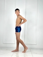 плавки боксеры спортивные для пляжа и бассейна arena